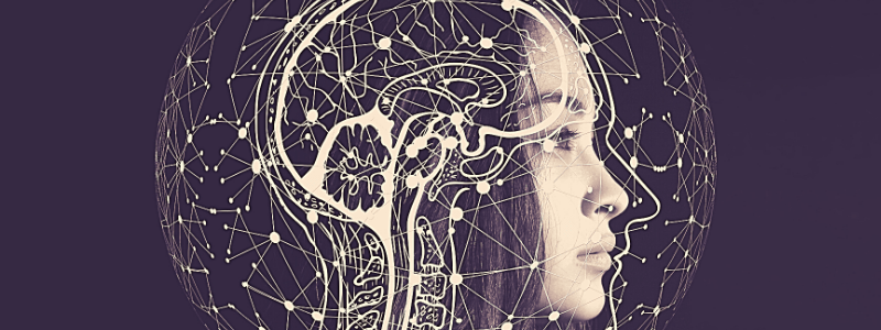 En este momento estás viendo La salud de tu cerebro