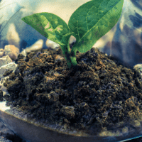 Diseño sin título - 2021-01-02T221551.557
