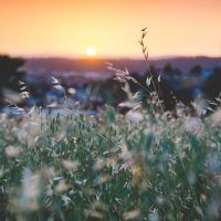 sapan-patel-i9Q9bc-WgfE-unsplash