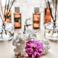 white-and-purple-flower-plant-on-brown-wooden-surface-161599